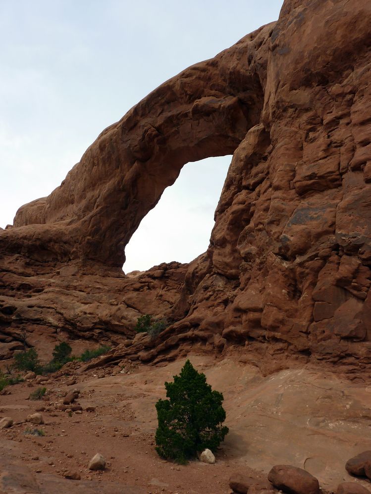 Arches Windows Arches (14).JPG